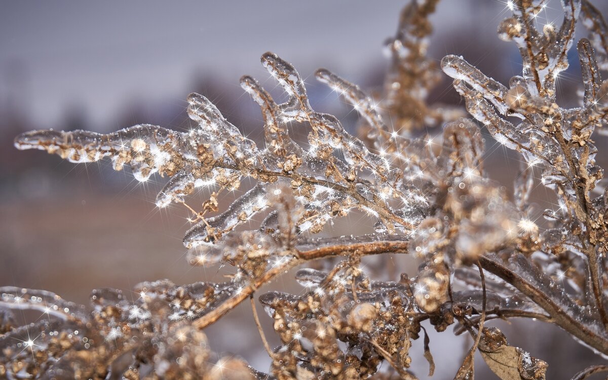 Зимние зарисовки ... - Ravile 