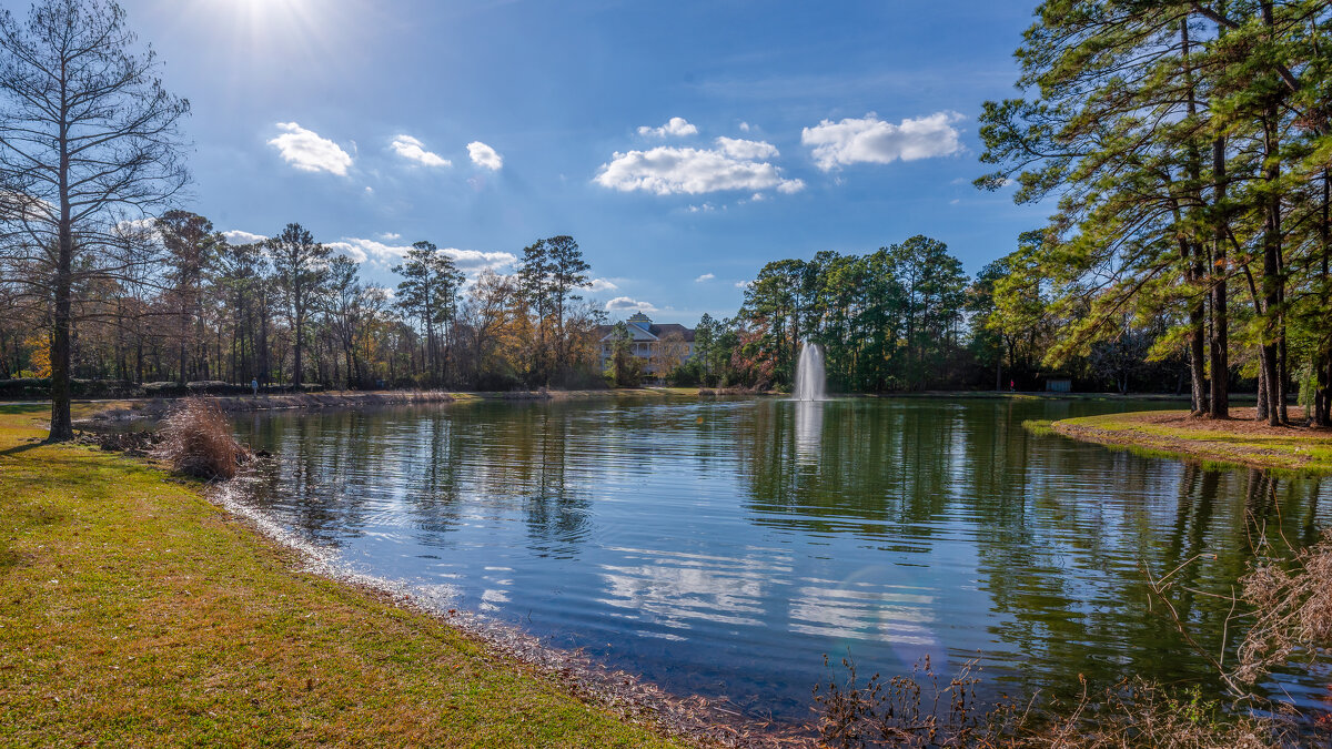 Пруд - **** vedin