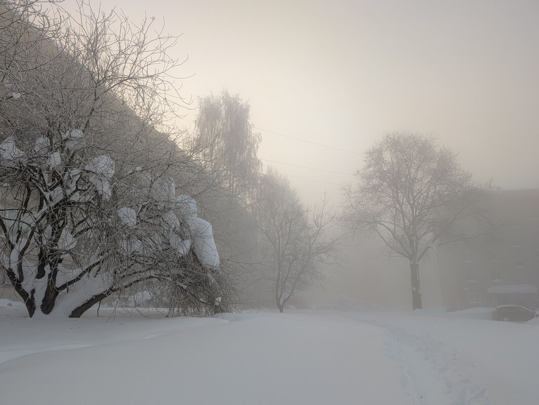Утро в туманном сне - Анастасия Логинова Утро в туманном сне - Анастасия Логинова