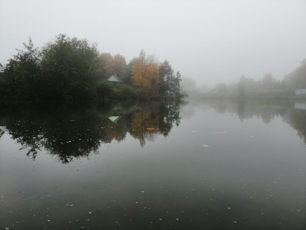 отражение - Лидия Меркулова