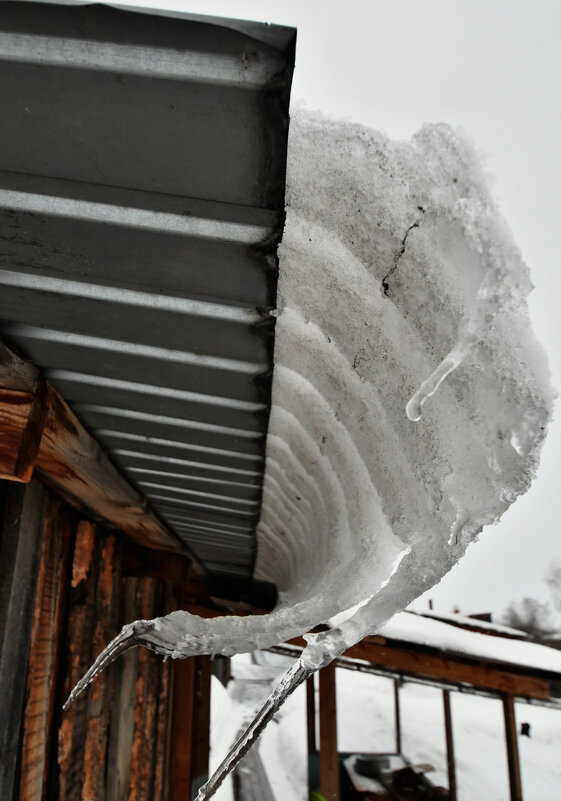 Загогулина оттепели - Сергей Шаврин
