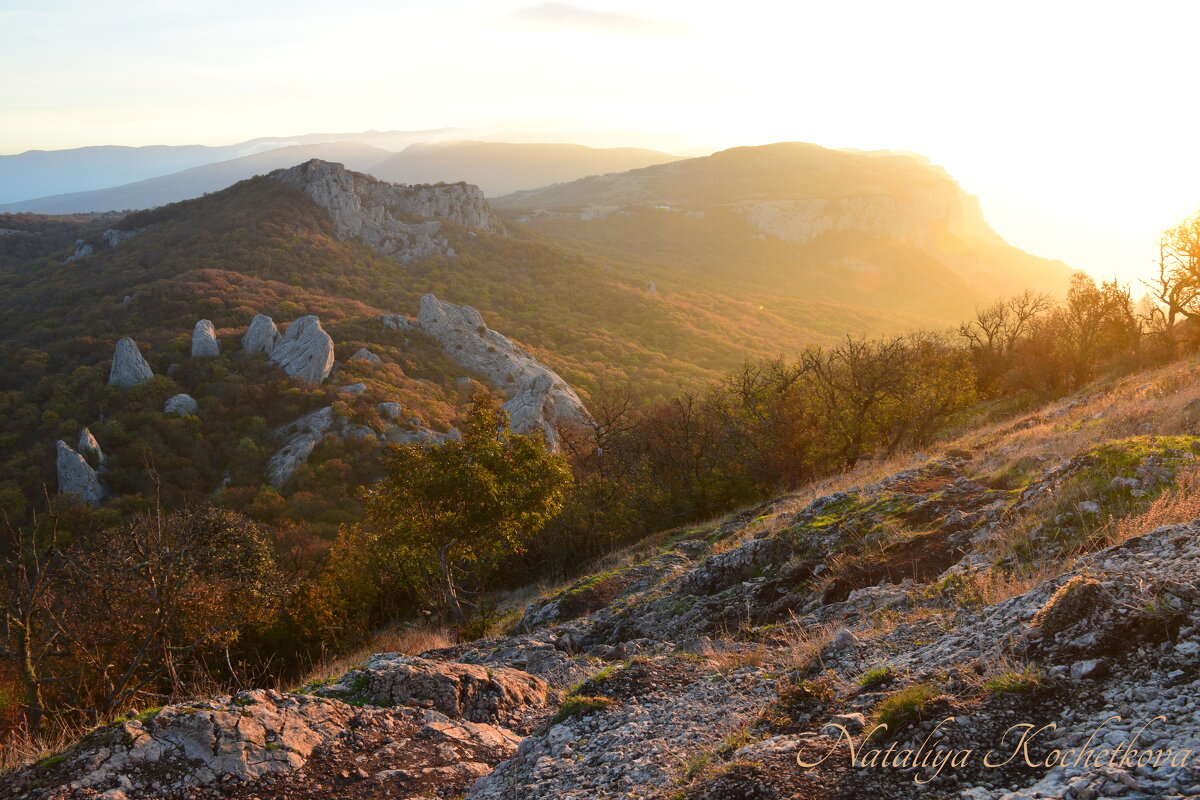 Природа Крыма - Amazing Cosmea