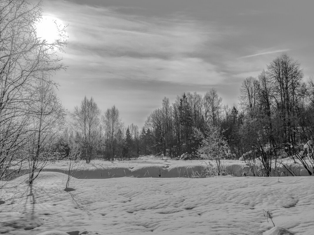 Солнце февраля. - Николай 