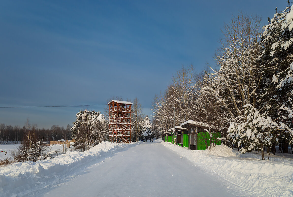 В городском парке зима - Александр Синдерёв