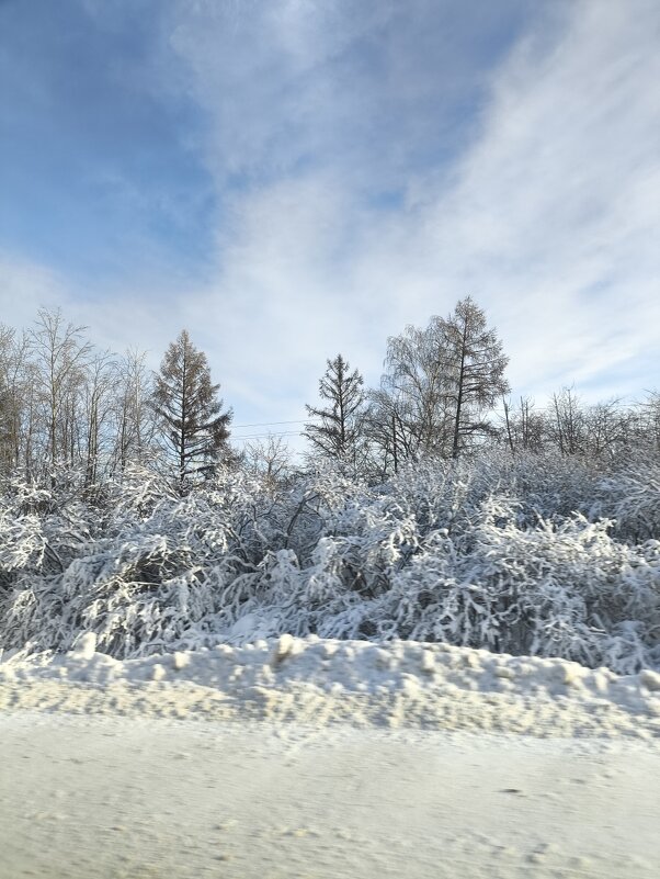 Придорожный пейзаж - Ирэн 