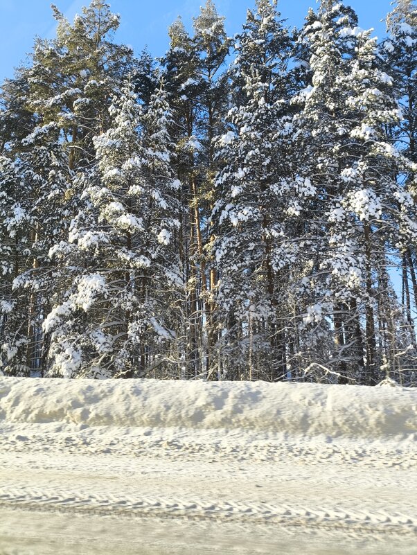 Придорожный пейзаж - Ирэн 