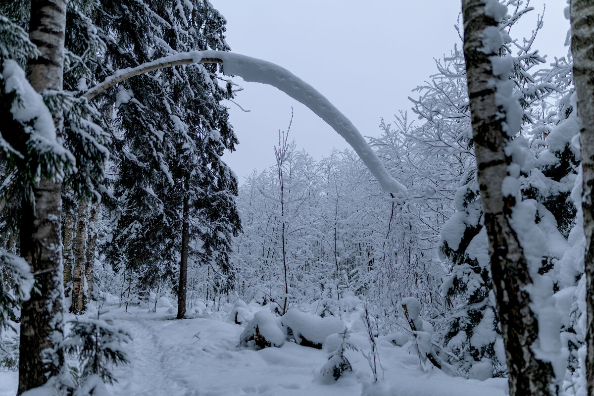 Снежный мост - Andreas Tor Снежный мост - Andreas Tor