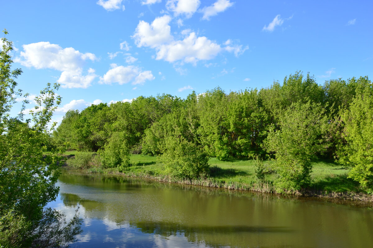 У реки. - Виктор 