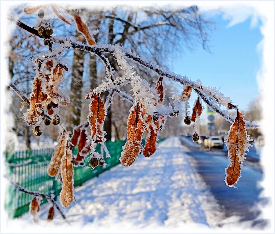 Февральский этюд. - Лия ☼ Февральский этюд. - Лия ☼