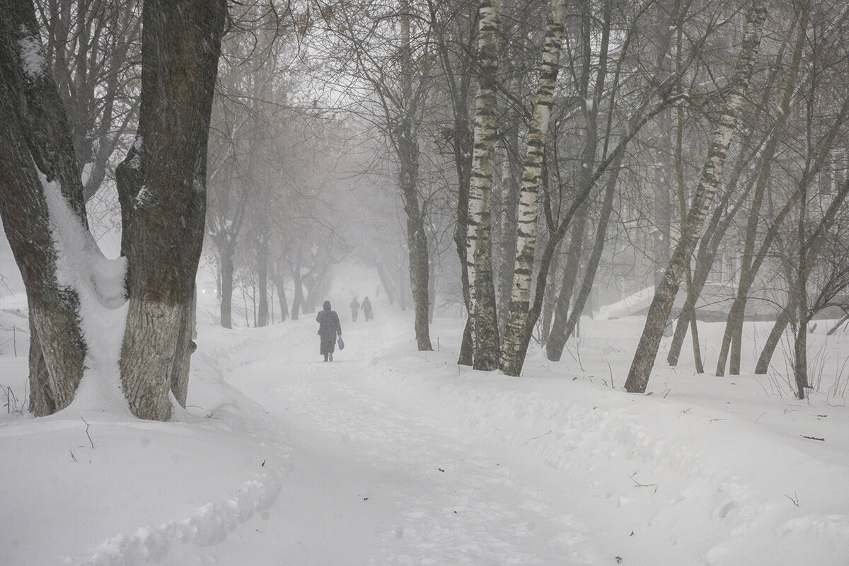 *** - Владимир Носов
