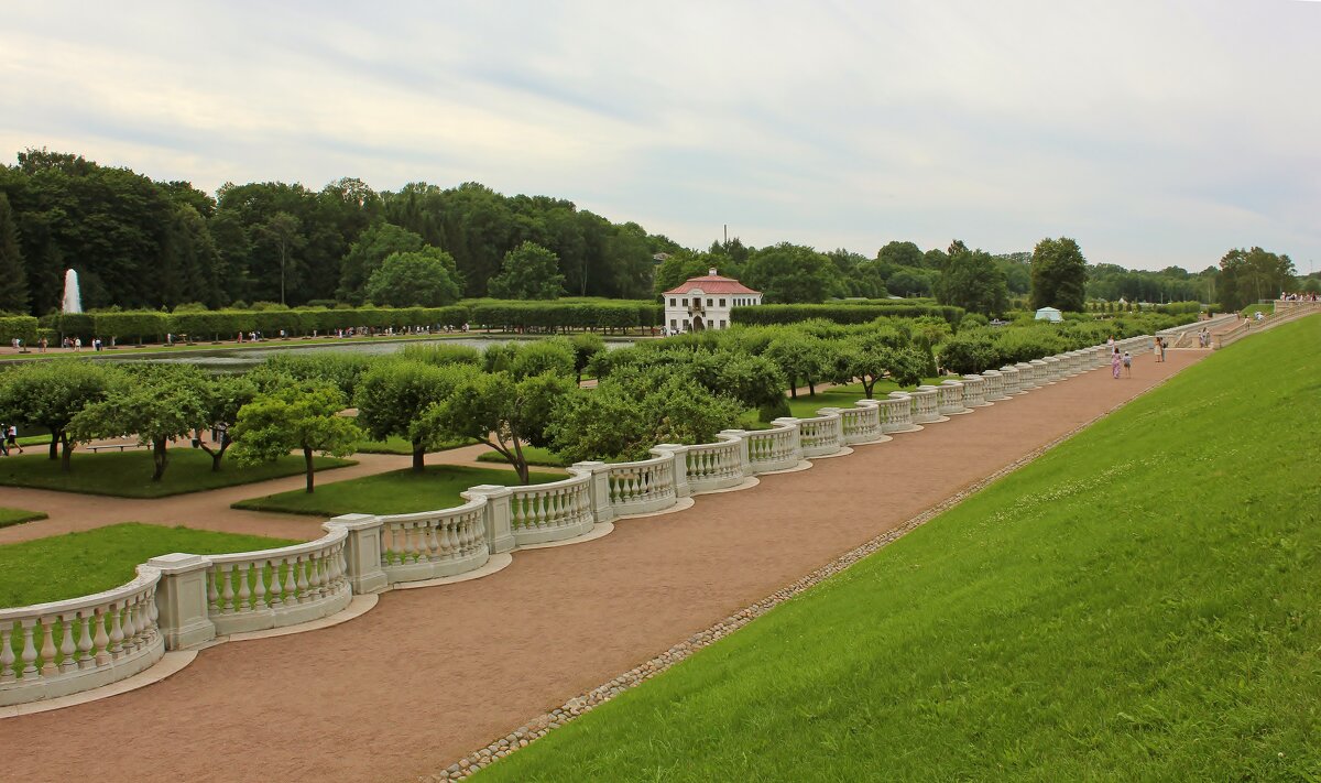 Изящный - Владимир Соколов (svladmir) Изящный - Владимир Соколов (svladmir)