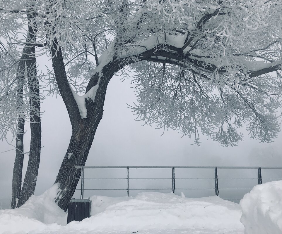 Закуржавело.. - Татьяна Закуржавело.. - Татьяна