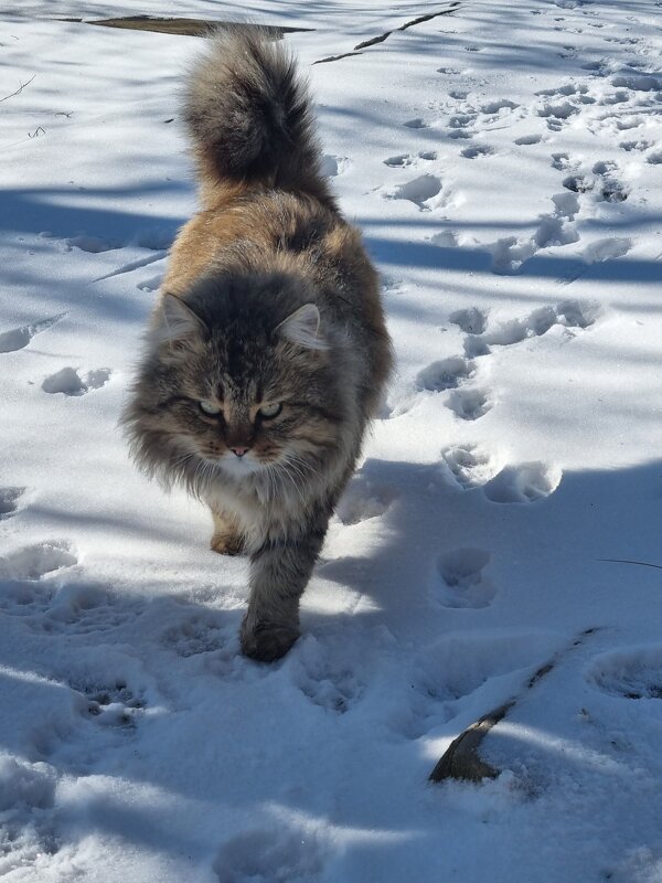 Строгий :) - Наталья 