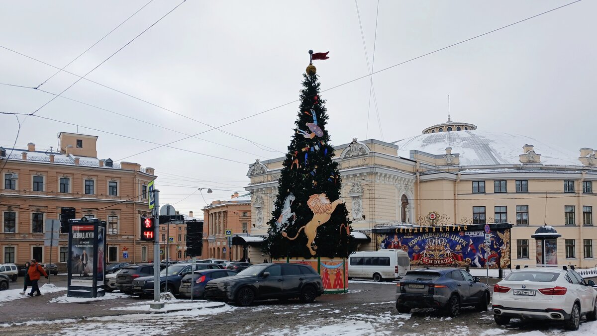 Ёлка у цирка - Наталья Герасимова