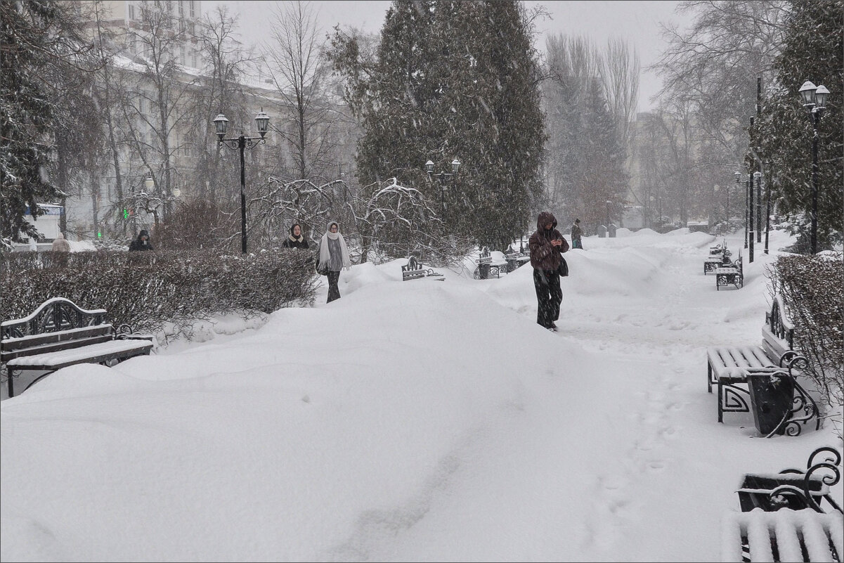 Сегодня снегопад - Татьяна Машошина