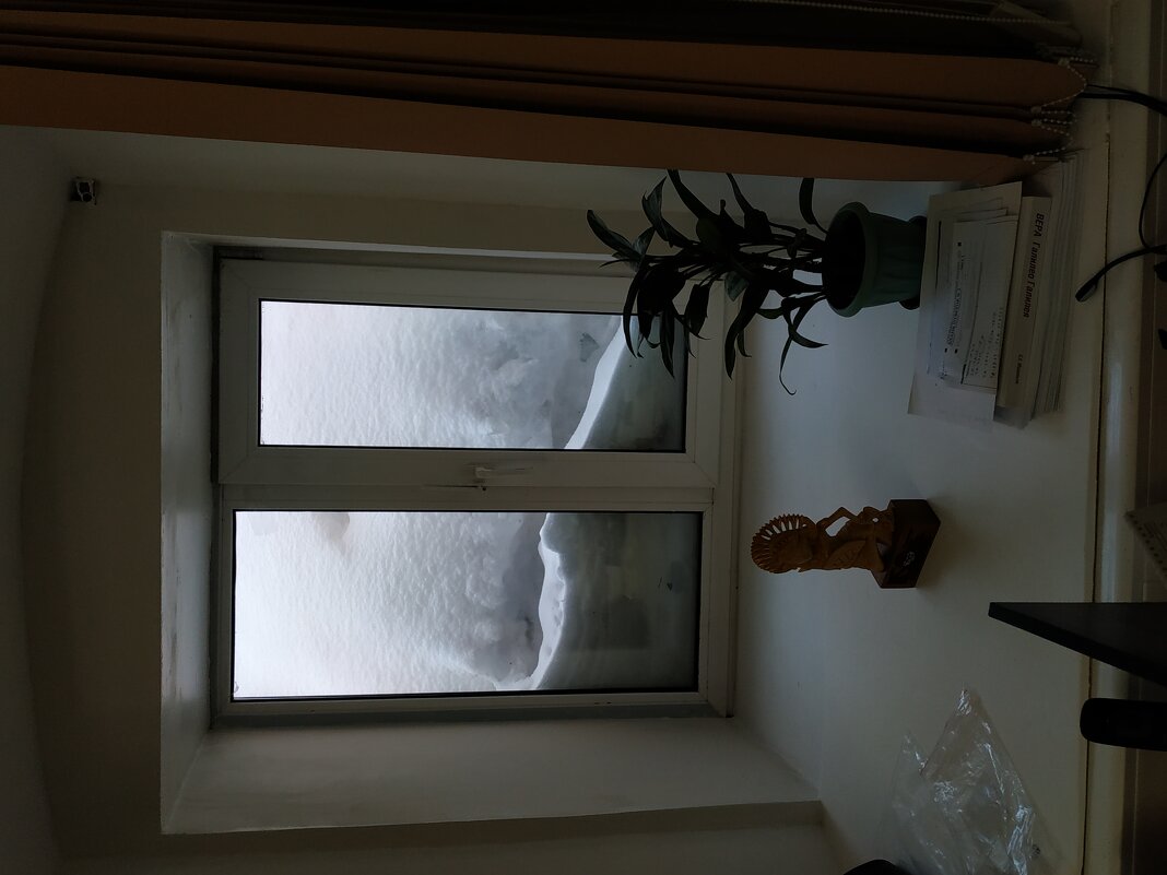 Снег в Москве: за окном у нас на работе - Андрей Лукьянов Снег в Москве: за окном у нас на работе - Андрей Лукьянов