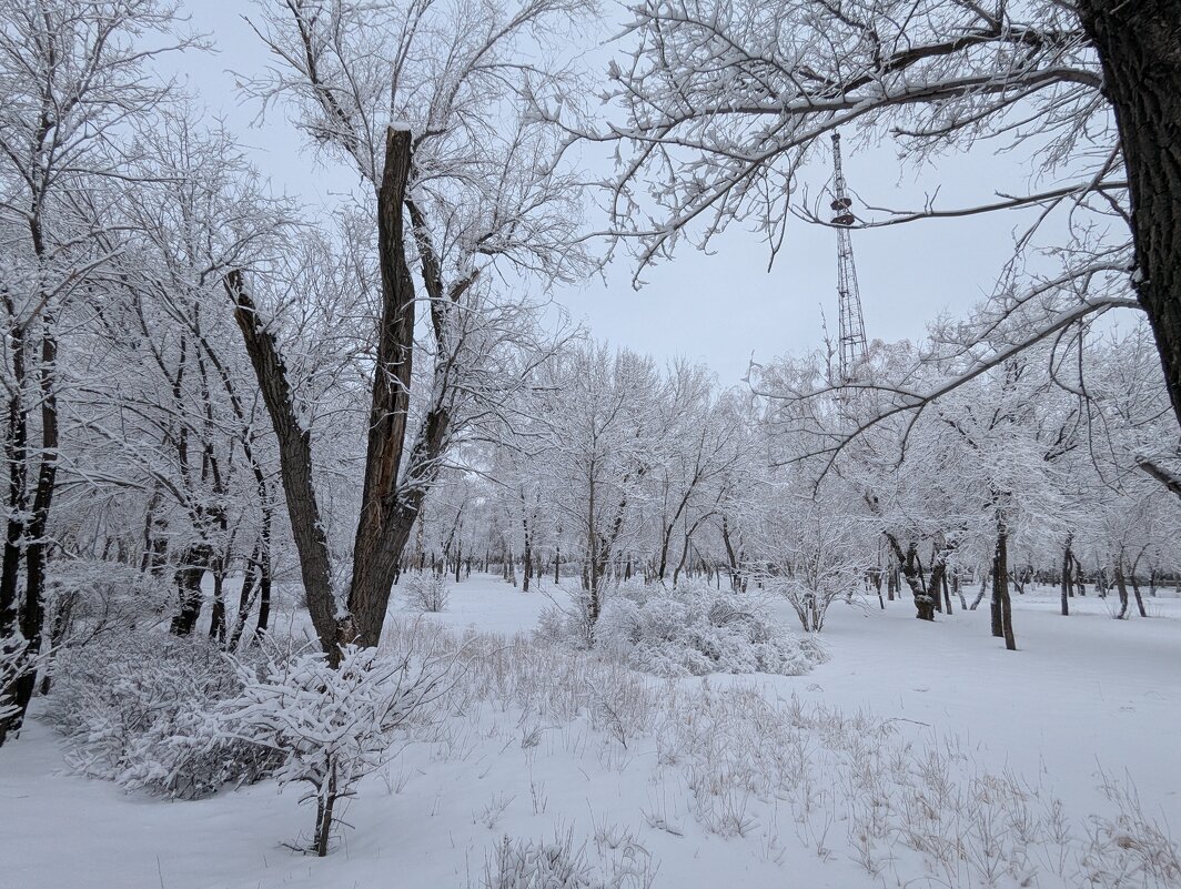 Прогулка по февральскому парку. - Андрей Хлопонин