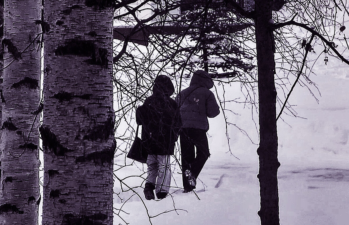 Февраль...Неуютный день! - Владимир 