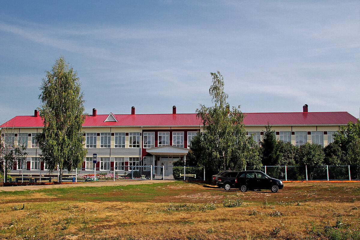 Сельская школа. Новотроицкое. Татарстан - MILAV V