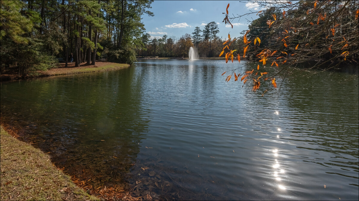 Пруд - **** vedin