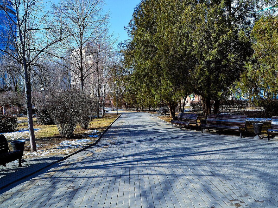 Ростов-на-Дону. Сквер набережной Адмирала Ушакова в феврале. - Пётр Чернега Ростов-на-Дону. Сквер набережной Адмирала Ушакова в феврале. - Пётр Чернега