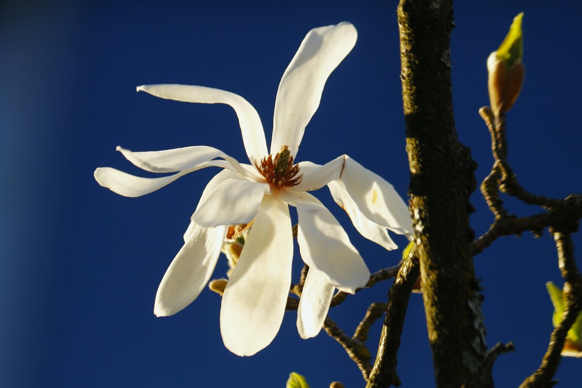 Доброе утро - Юрий. Шмаков