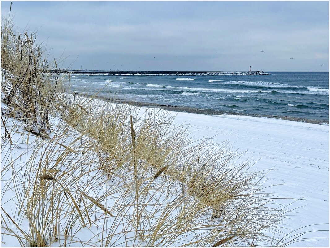 Зима, Балтика - Валерия Комова