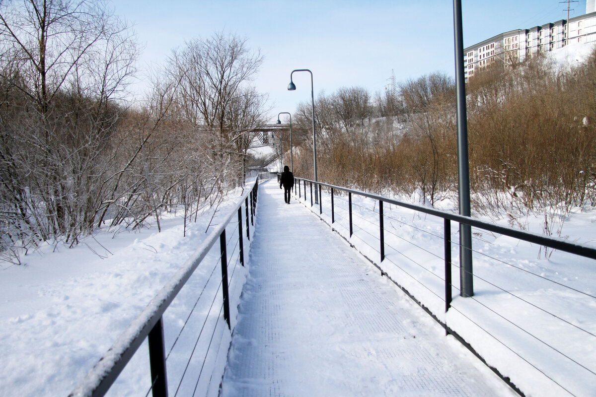 В долине реки Егошихи - Евгений Шафер В долине реки Егошихи - Евгений Шафер