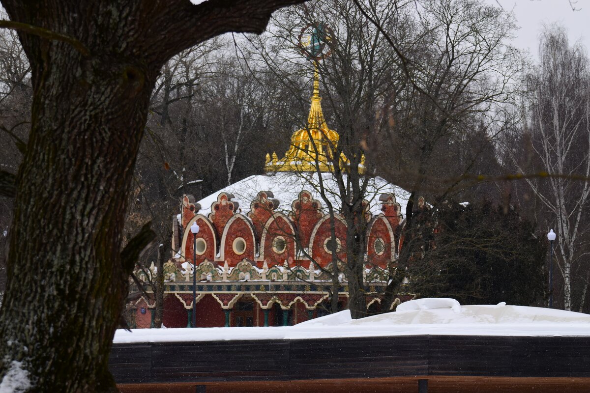 *** - Наталья Вязигина