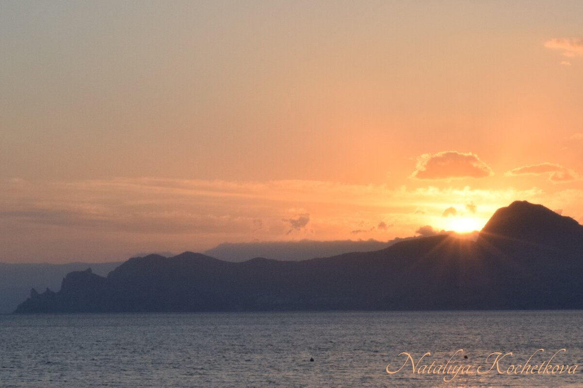 Природа Крыма - Amazing Cosmea Природа Крыма - Amazing Cosmea