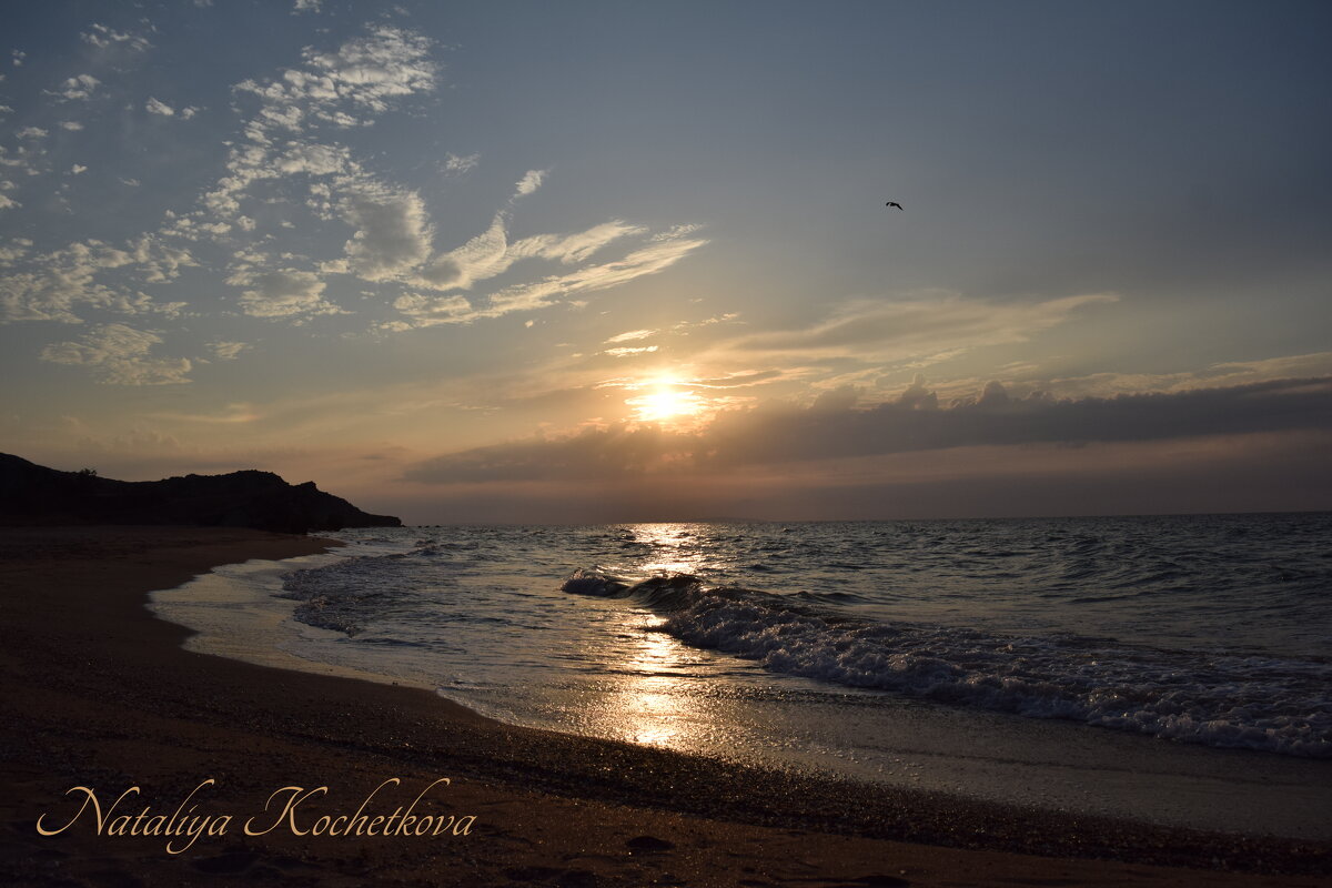 Природа Крыма - Amazing Cosmea