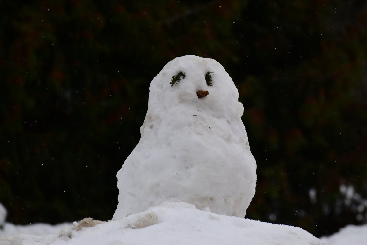 Снеговик - сова. - Наталья Вязигина
