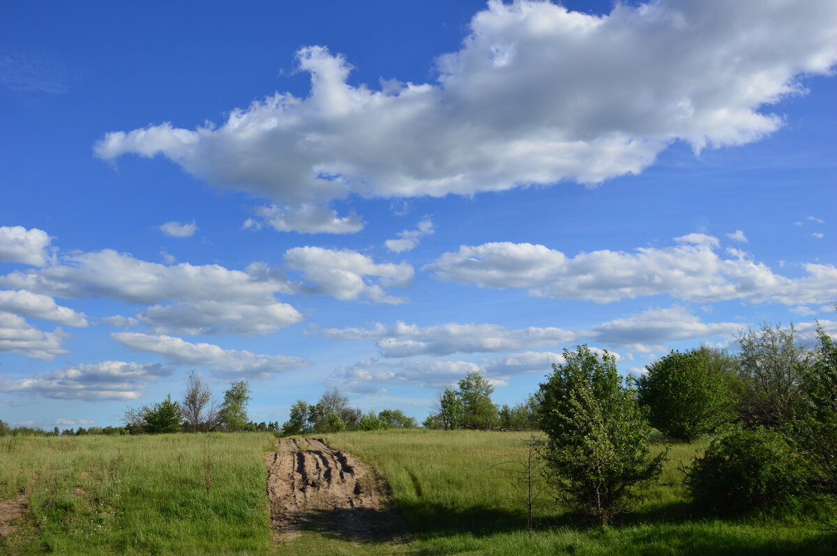 Мои дороги. - Виктор Мои дороги. - Виктор