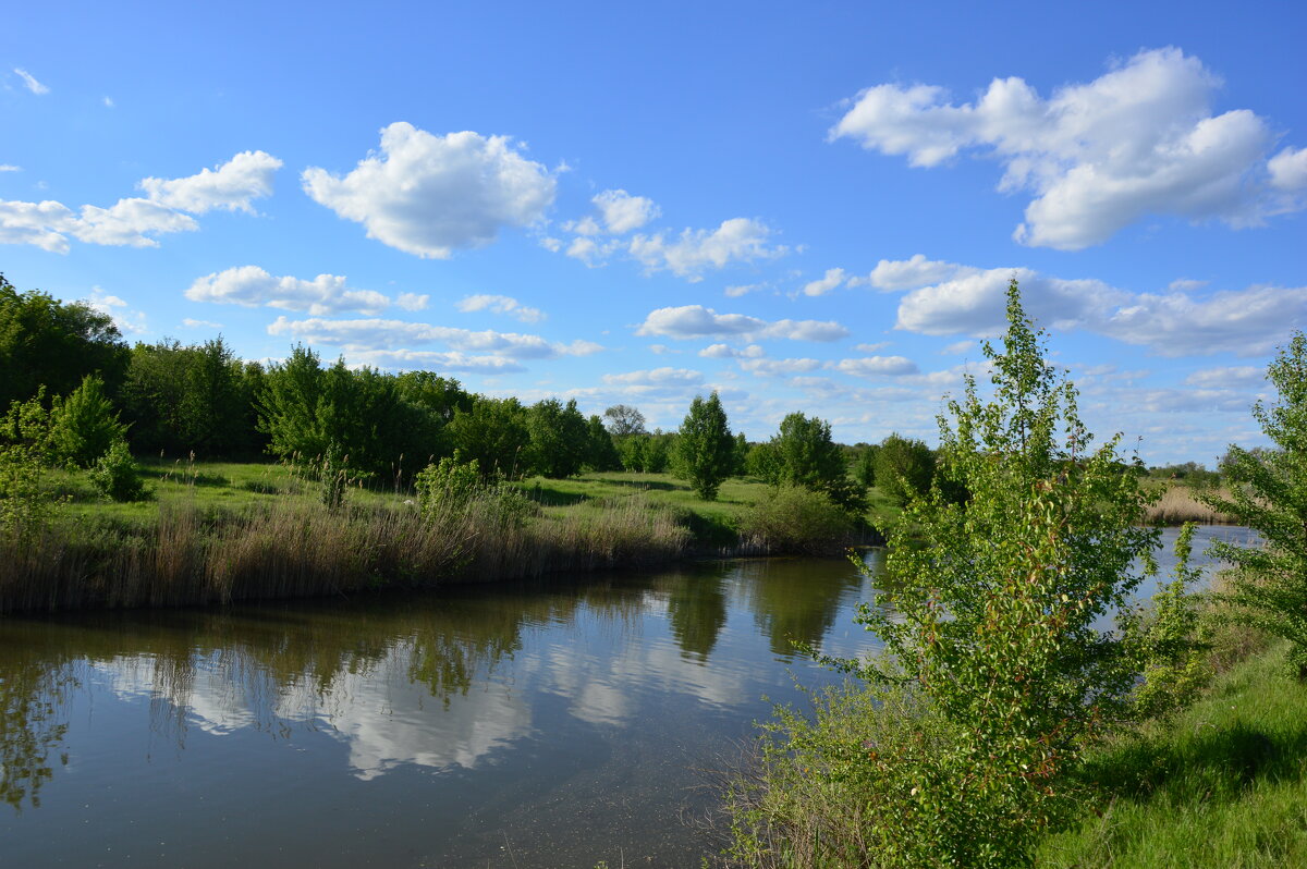 Донские виды. - Виктор 
