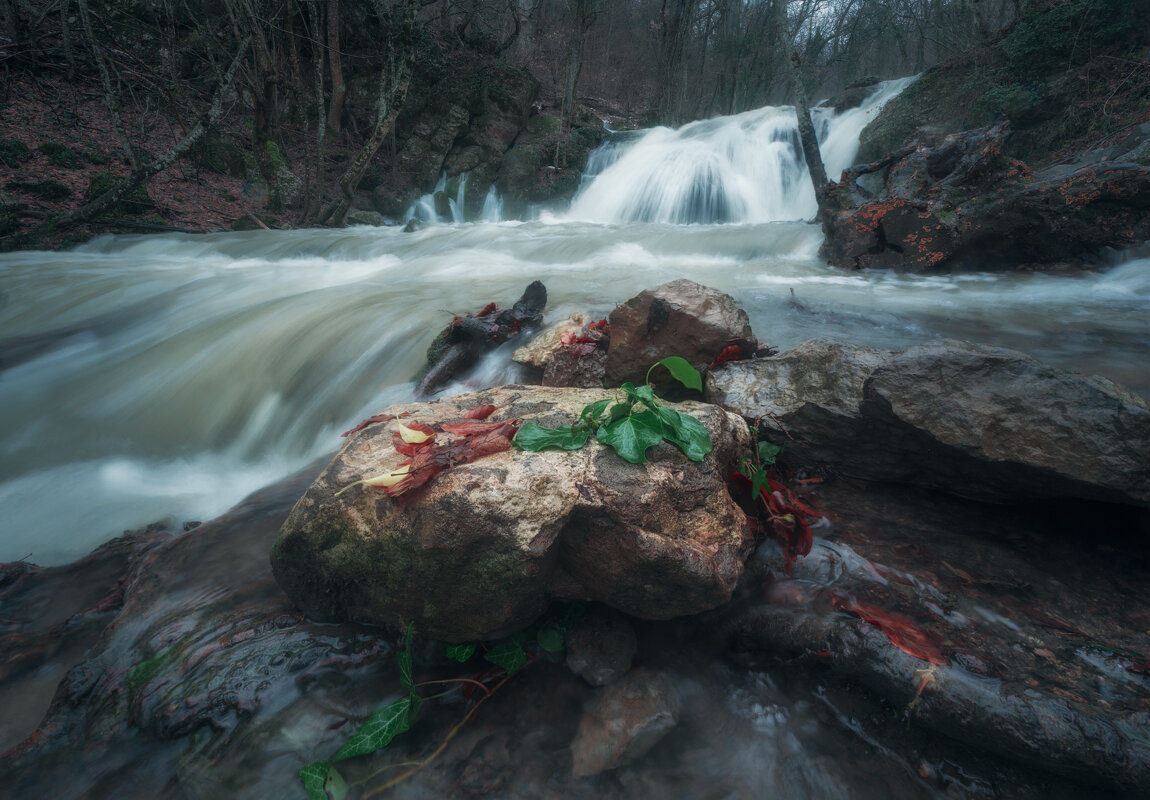 Вода, вода, кругом одна вода - Дмитрий Шишкин Вода, вода, кругом одна вода - Дмитрий Шишкин
