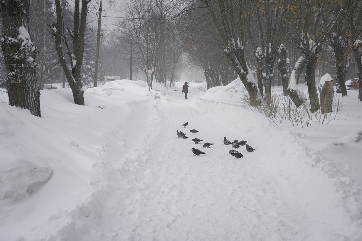 *** - Владимир Носов *** - Владимир Носов
