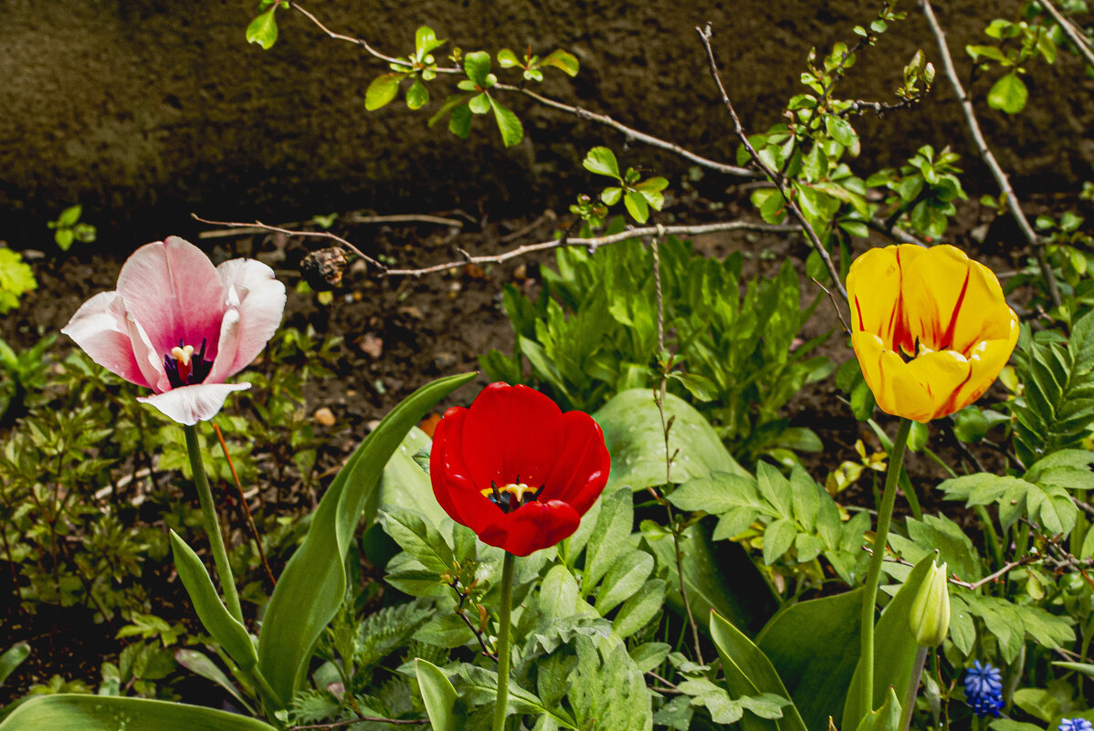 На любой  вкус. - Петр Беляков