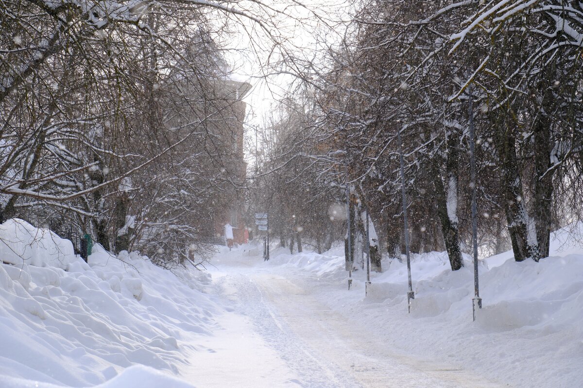 Снег идет... - Андрей Зайцев
