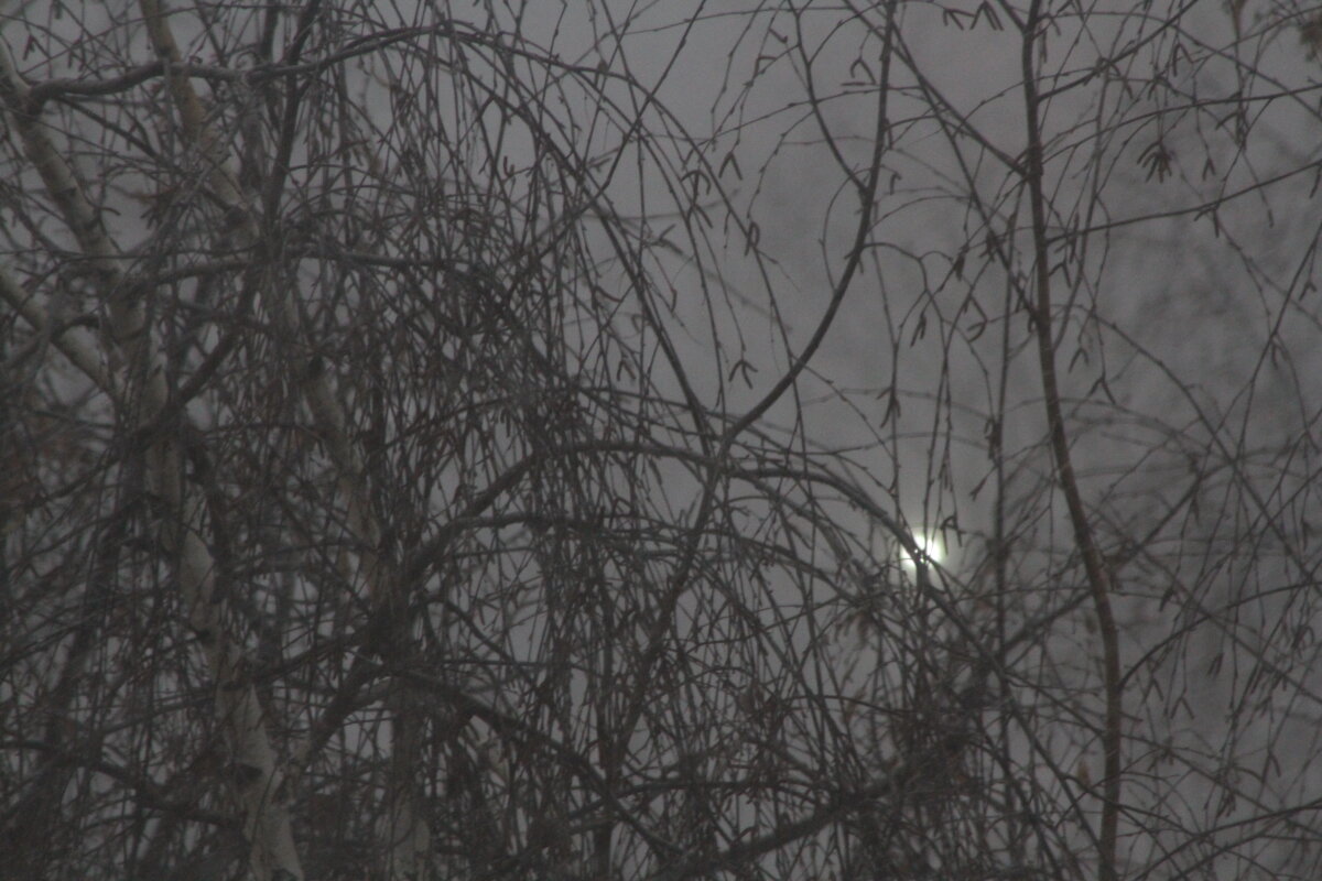 Сквозь снежную мглу - олег свирский 