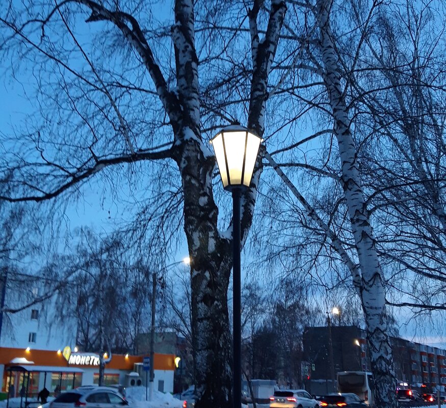 зима - Венера Чуйкова