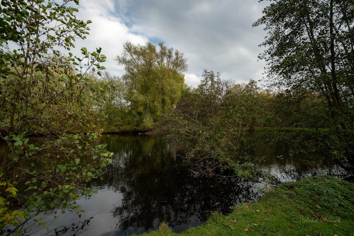 *** - Николай Гирш