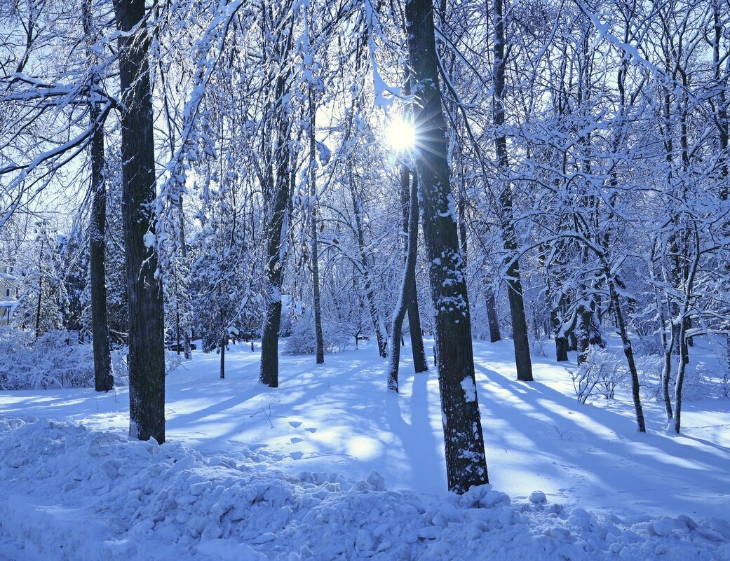 Зимнее - Сергей Рожков Зимнее - Сергей Рожков