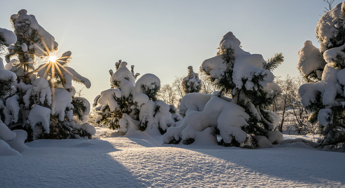 «Тишина, покрытая снегом». - Екатерина Счасная