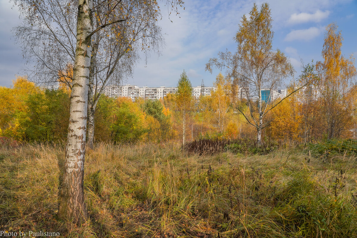 Палитра октября... - Владимир Жданов