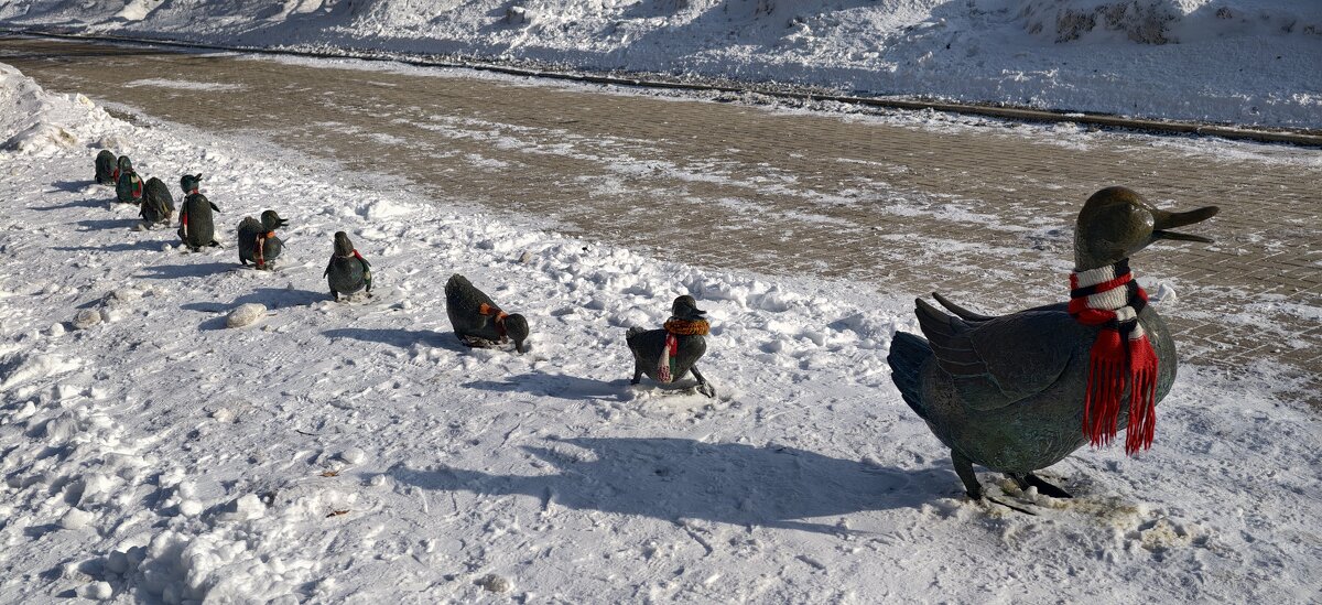 Дорогу утятам! - <<< Наташа >>>