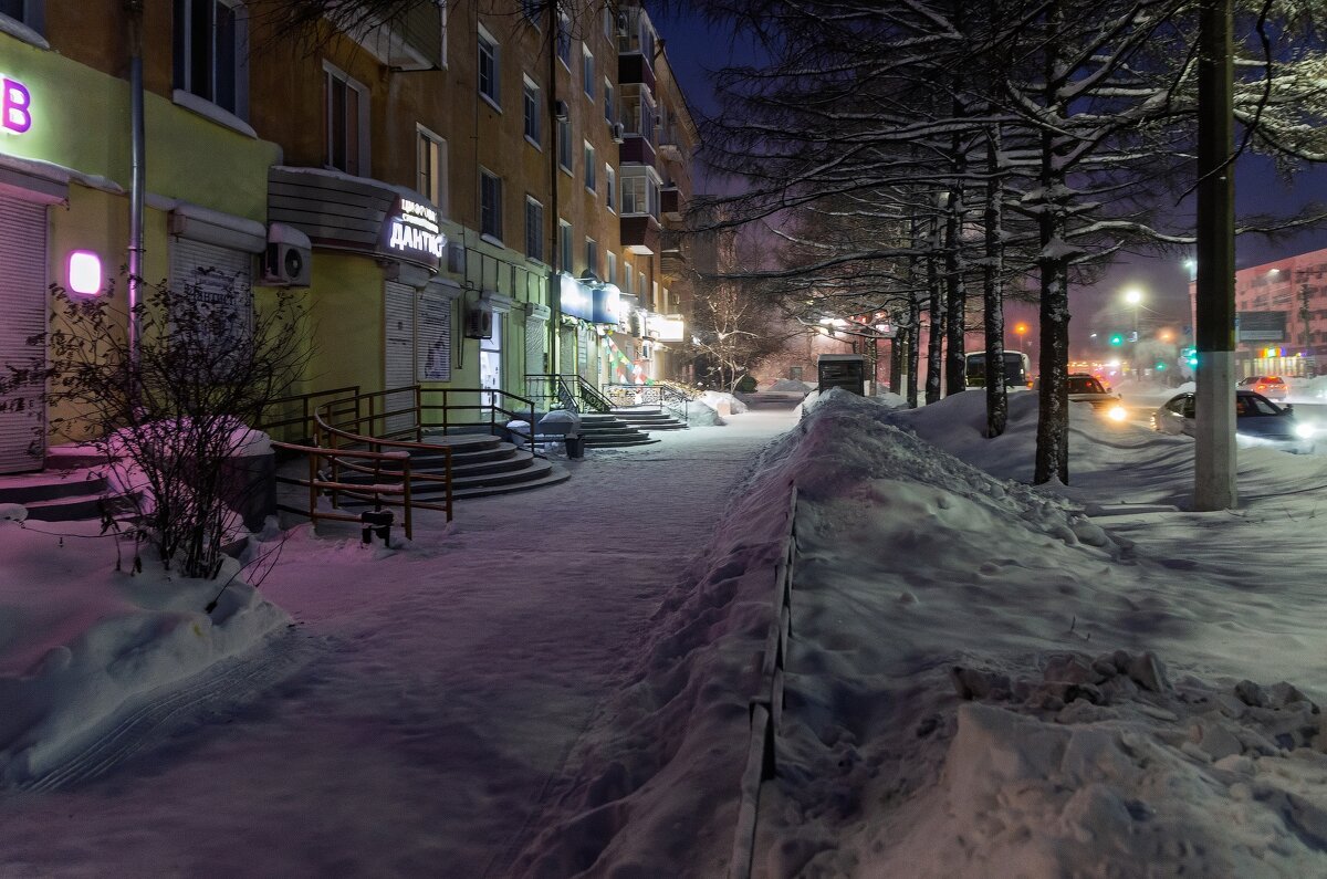 Прогулка зимним утром - Виктор Иванович Чернюк