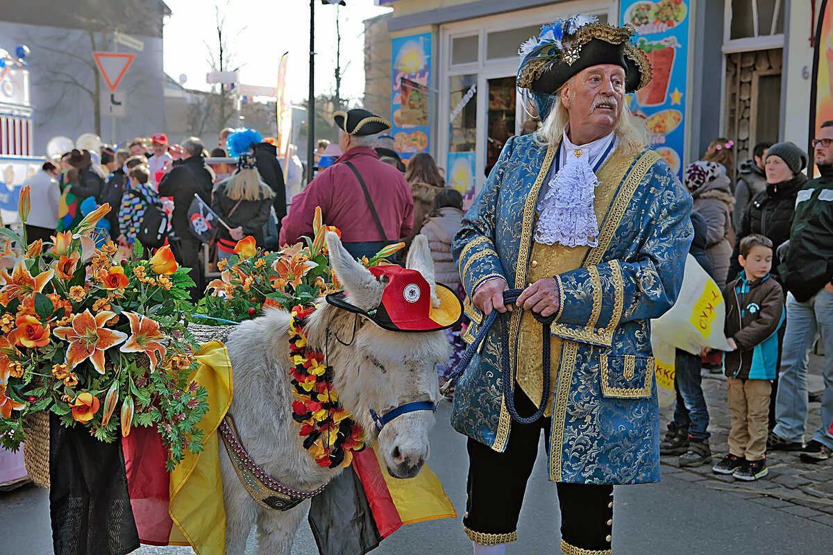 Уставший ослик после карнавала - Valziwa 