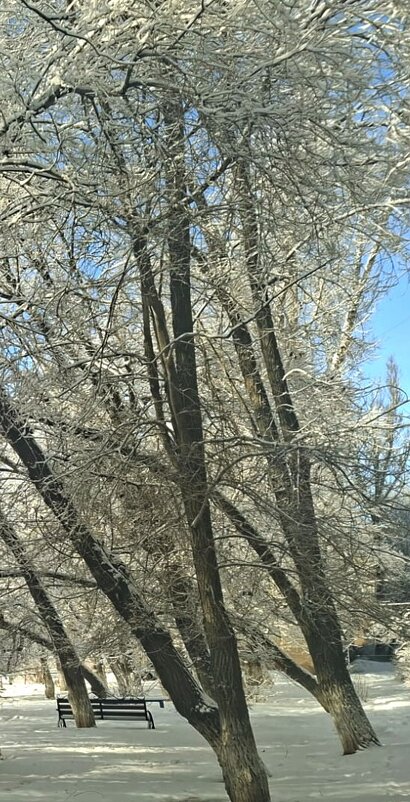 Февральское настроение - Георгиевич 