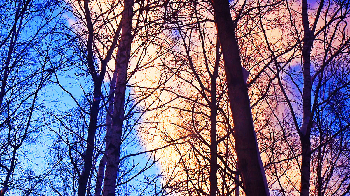 Февраль...Розовый дым на закате! - Владимир 