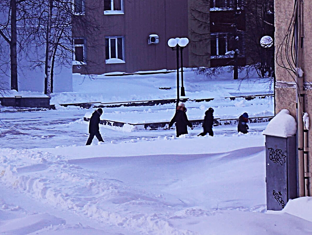Февраль...Ребячья стайка на бульваре! - Владимир 